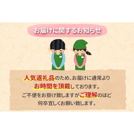 ふるさと納税 ≪肉質等級A4ランク≫宮崎牛 バラスライス 500g ※90日以内に発送 宮崎県新富町