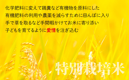 地球にやさしいパックご飯 10食入り× 3回　計30食　減農薬・減化学肥料 「特別栽培米」－地球にやさしいお米－[B-003010]