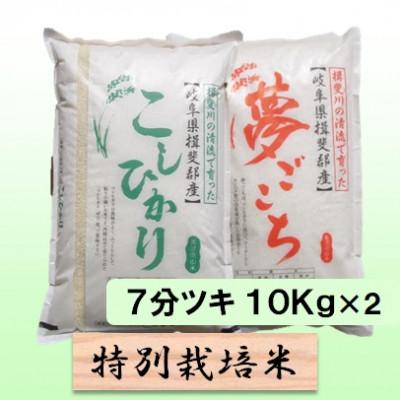 ふるさと納税 池田町 特別栽培米20kg(コシヒカリ 夢ごこち)