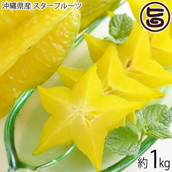 期間限定 沖縄産 スターフルーツ 約1kg 沖縄 南国フルーツ