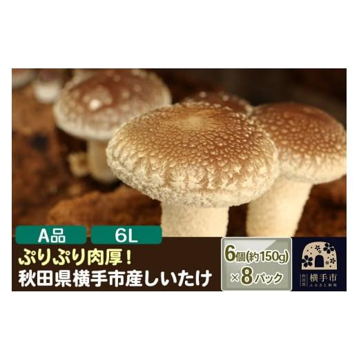 ふるさと納税 秋田県 横手市 しいたけ A級品 Lサイズ 約1.2kg(約150g(6個入)×8パック)