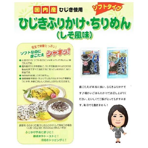 ひじきふりかけ 50g×10袋 ソフトタイプ 九州ひじき屋 国内産ひじき使用 ヤマチュウ シーガニック 山忠 ご飯のお供