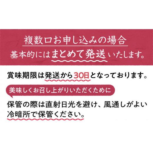 ふるさと納税 佐賀県 江北町 令和5年産 新米 さがびより 無洗米 5kg [HBL005]