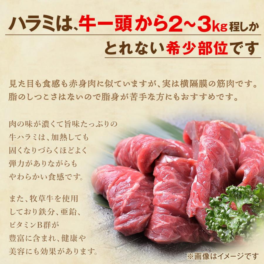 焼肉 セット 肉 牛肉 柔らか ハラミ タレ漬け メガ盛り 1kg 冷凍 食品 BBQ バーベキュー お取り寄せ グルメ