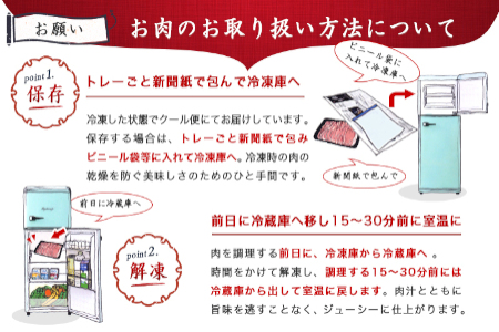 宮崎牛モモステーキ100g×8枚_AC-2517_(都城市) ステーキ 牛肉 宮崎牛 和牛 国産 モモ肉 A4 個別真空 100g×8枚