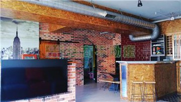 巴黎街頭高質感美式裝潢三房車｜桃園市桃園區民有五街