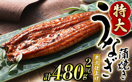 中国産 鰻 うなぎ うなぎの蒲焼 炭火焼き 炭火   1尾で約240gのビッグサイズ うなぎ蒲焼 2尾 計約480g （タレ・山椒付き） 