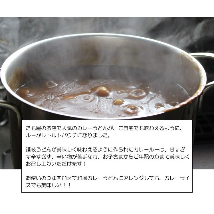 カレーうどん レトルトカレー たもっちゃんカレー （ルーのみ） 180g×2袋入 香川県 ご当地グルメ お取り寄せ 産地直送 メール便 送料無料