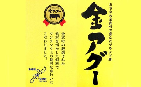 沖縄県産　金アグー　「ソーセージ」960g（48本入り）