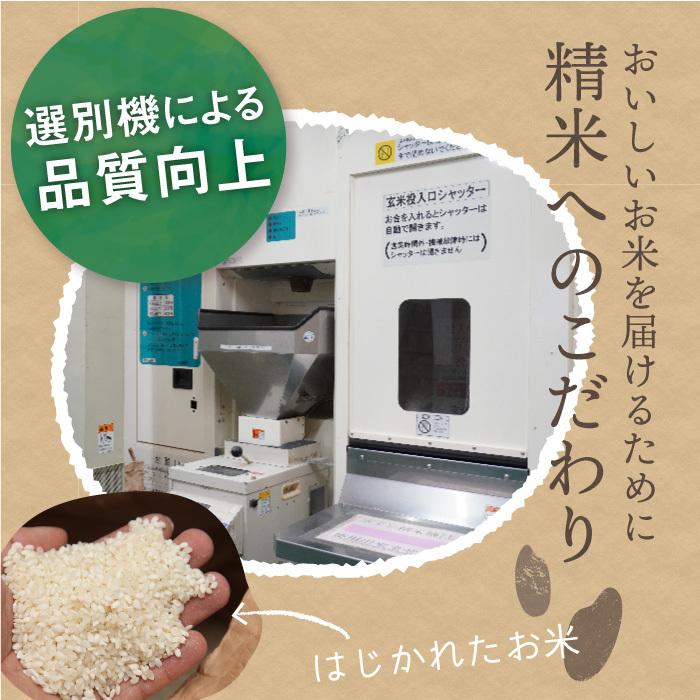 無洗米 新潟県産 コシヒカリ 特別栽培米 24kg 令和5年産 新米 こしひかり 24キロ 農家直送 減農薬