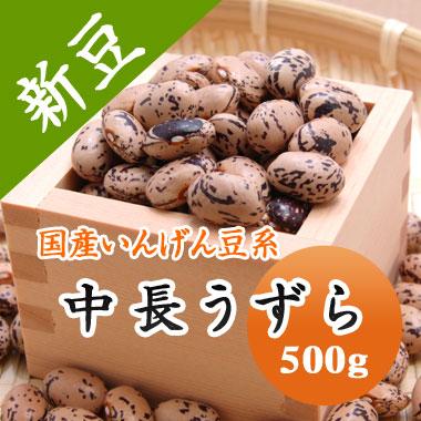 豆 うずら豆 北海道産 中長うずら 令和５年産 500g