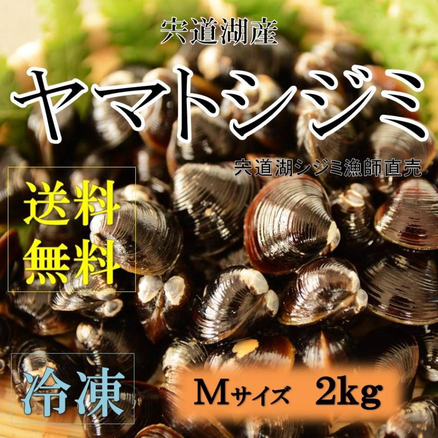 シジミ 宍道湖産 Mサイズ ２ｋｇ 送料無料 冷凍 砂抜き済み