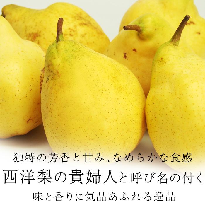 洋梨 新潟県産 ルレクチェ 秀品 約2kg 5〜7玉