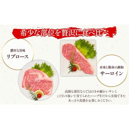 ふるさと納税 宮崎県 宮崎市 みやざきハーブ牛ステーキ食べ比べセット（サーロインステーキ・リブロースステーキ×各200g）_M180-004