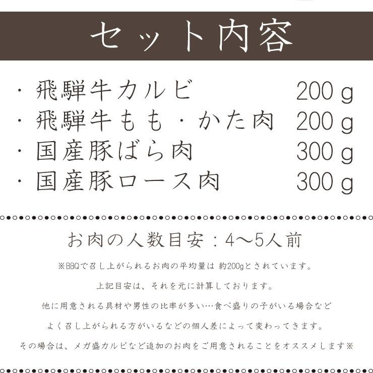 肉  福袋  牛肉 焼肉セット 1kg 飛騨牛 国産豚肉  バーベキュー バーベキューセット 約4〜5人前 黒毛和牛 焼肉 お取り寄せグルメ