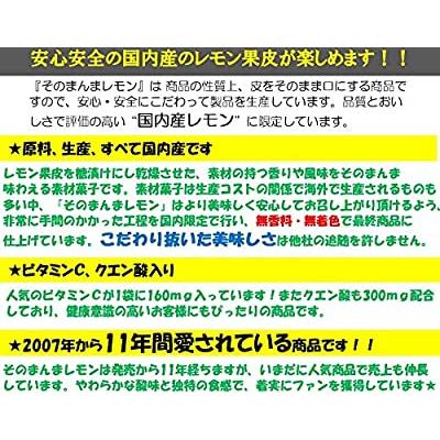 ライオン菓子 そのまんまレモン 25g ×6個