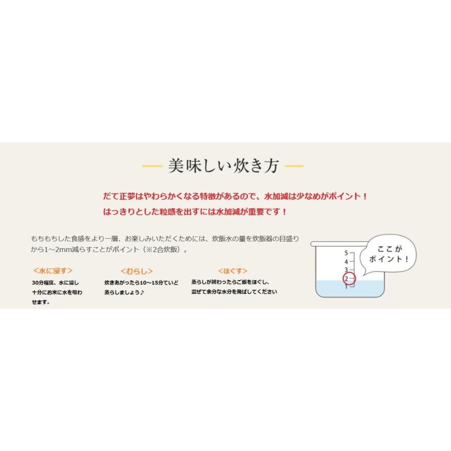 新米  令和5年産　米10kg　宮城県  だて正夢10ｋｇ（2ｋｇ×5） ブランド米  白米　精米 送料無料