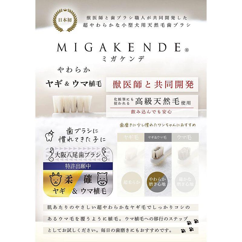 柔らかい天然毛歯ブラシ ミガケンデ 小型犬用 選べる2本セット