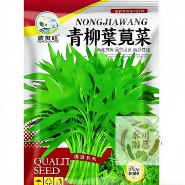 【本土老品種】原裝青柳葉莧菜種子｜台灣傳統嫩葉｜做菜脯蛋、煮湯超對味｜耐熱快收 阿嬤的菜園味道｜附簡易種植教程｜現貨