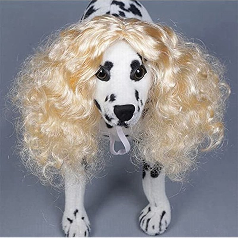 笑える ウィッグ 犬 猫 小動物 かつら 人間ふり 仮装グッズ 犬 コスチューム コスプレ小道具 おもしろい 変装用品 小型犬 中型犬 大型 通販 Lineポイント最大0 5 Get Lineショッピング