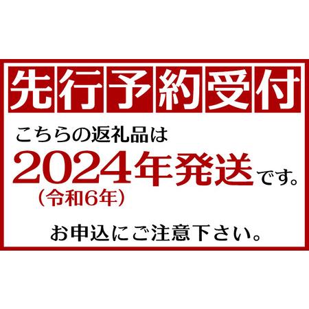 ふるさと納税 縁sファームのアップルマンゴー2kg（秀品） 沖縄県糸満市