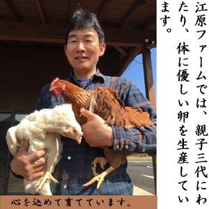 ふるさと納税 AG13_江原ファーム　体に優しい地養卵（30個） ※着日指定不可 茨城県古河市