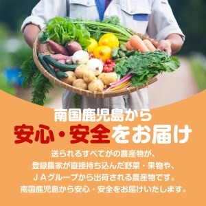 旬鮮野菜・果物セット（12～14品目）　K072-001 薩摩 さつま 鹿児島県 鹿児島市 鹿児島 大人気野菜 人気野菜 野菜セット 野菜詰合せ 大人気果物 人気果物 果物セット 果物詰合せ 野菜 果物 旬 新鮮 旬鮮 JAグループ 南国 特産品 お野菜 やさい くだもの フルーツ ギフト 贈り物 プレゼント 御歳暮 お歳暮 詰め合わせ セット 農産物 果実