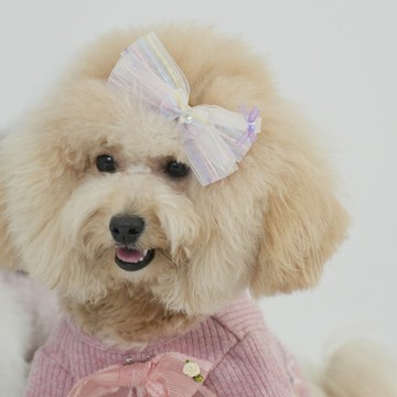 NO.101蝴蝶結髮夾