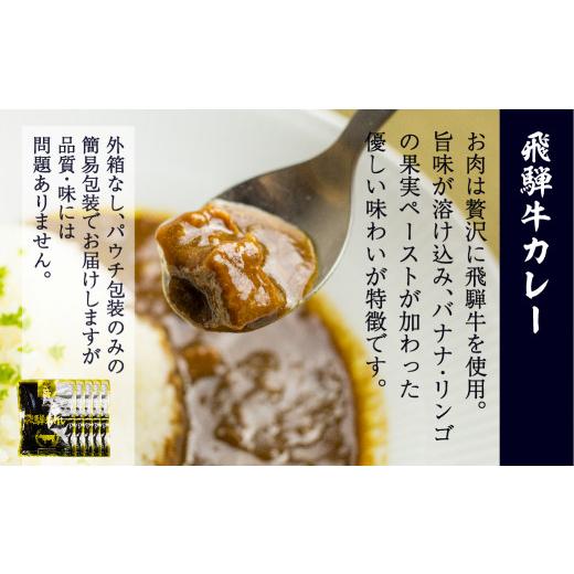 ふるさと納税 岐阜県 高山市 飛騨牛カレー（160ｇ×10袋）と飛騨高山ラーメン（2食入×5袋で10食）  加工品 加工食品 訳あり 簡易包装  カレー ラーメン   ふ…