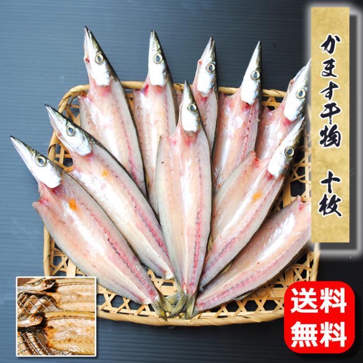 ☆送料無料☆かます干物　10枚--秋に小田原を代表する魚です♪