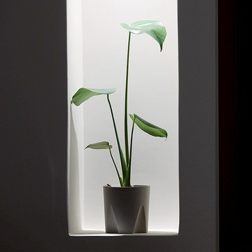 水泥教堂 | 免移盆水泥盆器