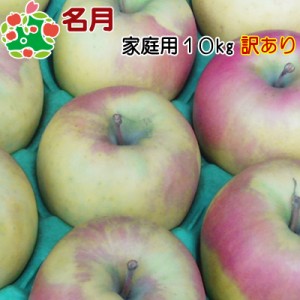 りんご 訳あり 青森県産 名月 家庭用 キズあり 10kg 送料無料 産地直送 産直自宅用 ワケあり お試し 試食 食べ物 旬の くだもの 果物