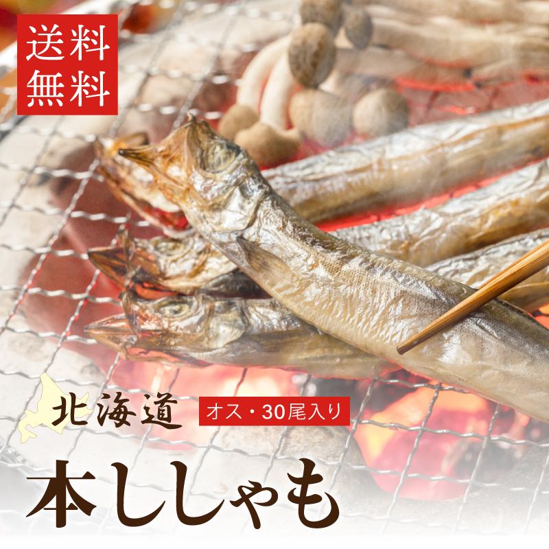 北海道産 本ししゃも オス 30尾入 シシャモ 柳葉魚 送料無料