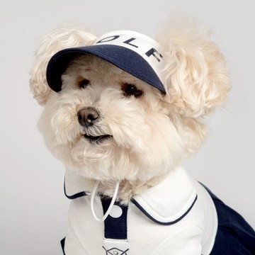 【梨花娘】韓國BAILEY💖寵物品精緻高爾夫球寵物遮陽帽(現貨+預購)