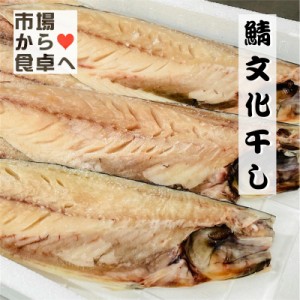 さば文化干し 鯖の干物 6枚(特大サイズ1枚当たり約170g)脂のっています