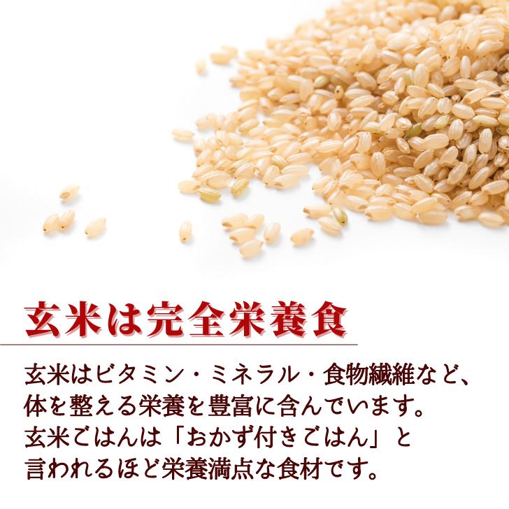 新米 5年産 玄米 米 新潟 産 コシヒカリ 玄米 10 キロ こしひかり 玄米 10kg 堆肥 育成 減農薬 農家 直送 生産者 コシヒカリ 新潟県産 玄米 美味しい