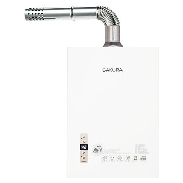櫻花 16L DH9166F 溫智能恆溫強排熱水器(天然氣)