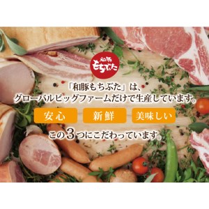 SA0694　スモークウインナー　2kg(1kg×2袋)セット