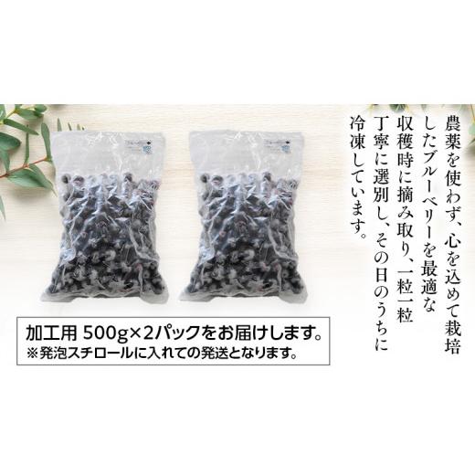 ふるさと納税 茨城県 つくばみらい市  つくばみらい市 産 冷凍 ブルーベリー 1kg 500g ×2パック 国産 農薬無使用 自…