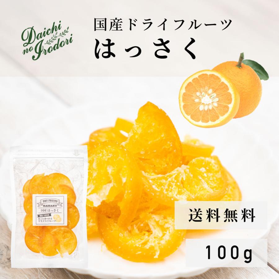 博屋 ドライフルーツ ドライ 国産 果実 送料無料 はっさく 100g x 1袋 チャック袋入り