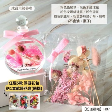 【A-ONE】浮游花DIY花卉包 木繡球花 安娜繡球花 花材 乾燥花材 不凋花 永生花 蓬萊松 H07粉漾晨曦_廠商直送