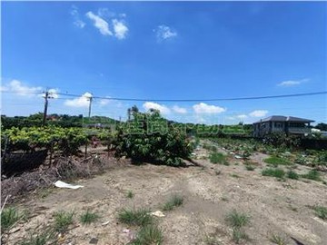 大樹大坑路上農地｜高雄市大樹區洲仔段