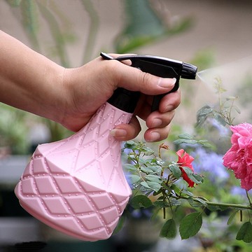 家用園藝小噴壺噴水壺小型灑水壺室內噴霧器澆花神器多肉澆水壺