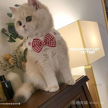 🎇可開發票✨狗狗貓咪圍嘴聖誕節針織圍脖寵物項圈毛綫口水巾新年飾品領花鈴鐺#免運