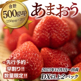 MZ038 福岡県産 あまおうDX以上 500g（2パック） 先行予約 2023年12月1日～12月30日に順次発送