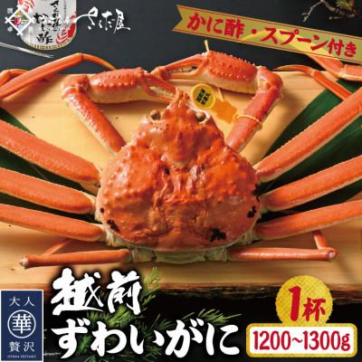 ふるさと納税 越前町 浜茹で越前ずわい1200〜1300g　1杯　かに酢かにスプーン付き