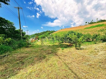 交流道體育園區景觀農地｜桃園市楊梅區二重溪