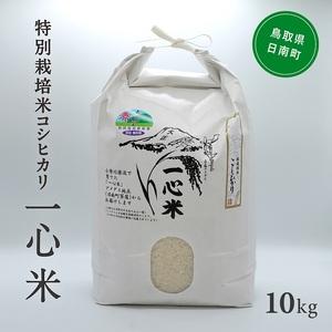 ふるさと納税 令和5年産 矢原一心ファーム 「特別栽培コシヒカリ」 10kg 鳥取県日南町