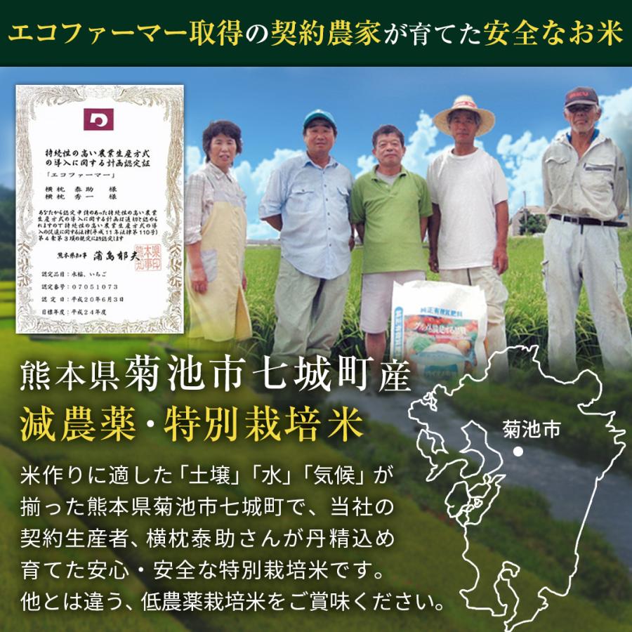 特別栽培米　熊本県産こだわり七城米　ヒノヒカリ ５ｋｇ×２袋　菊池米　減農薬米　米10kg