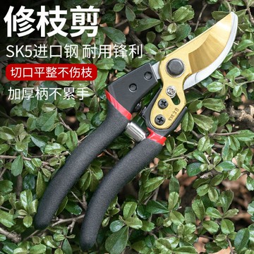 修枝剪 園藝剪刀 花藝剪 德國進口修枝剪園藝剪刀蔬果剪刀果樹粗枝花藝修花剪刀花卉枝剪刀『ZW00193』